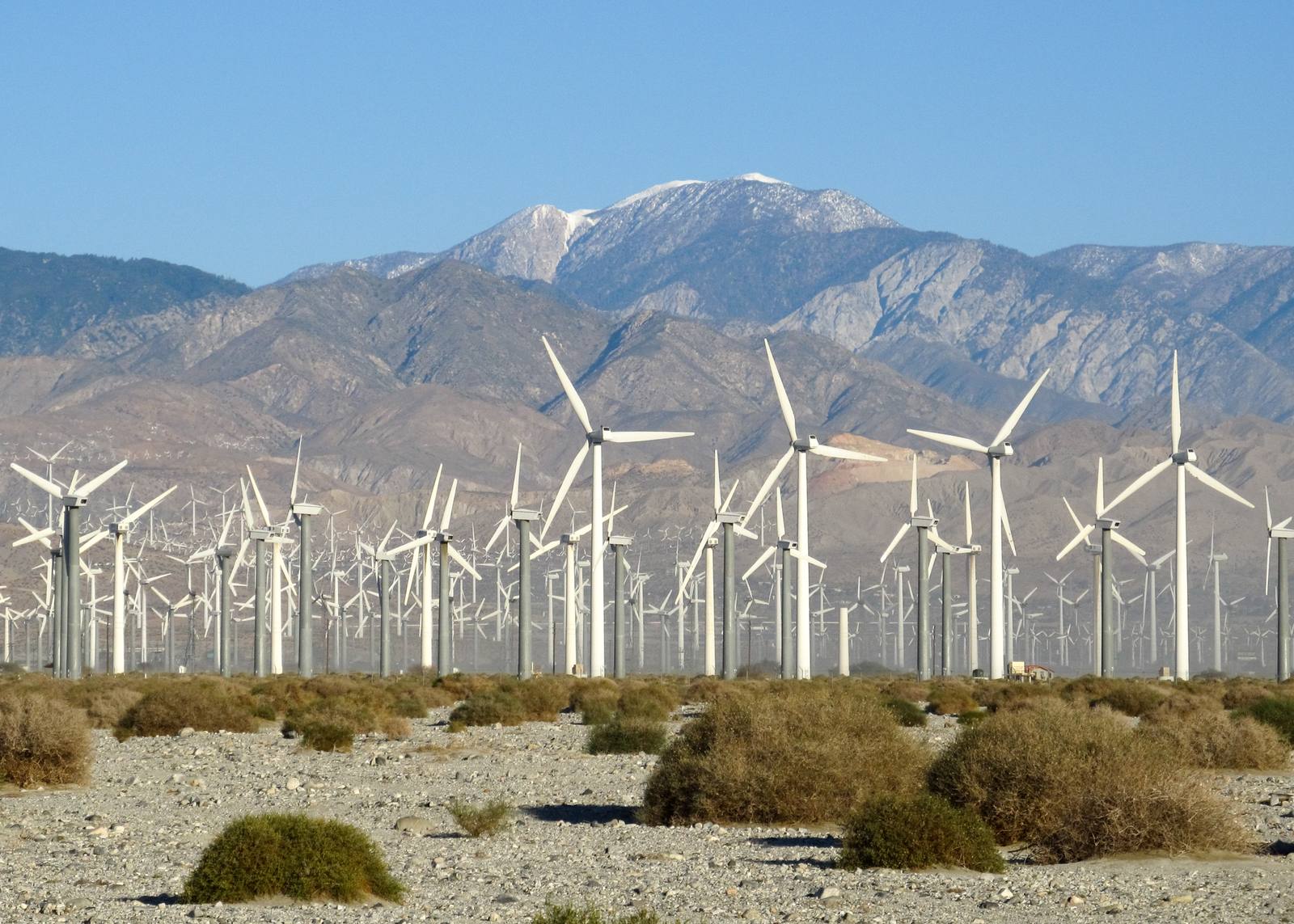 The San Gorgonio Pass wind farm, west of Palm Springs. The fastest relief is vertical: the tramway climbs 5,873 feet from the valley floor to the mountain station.