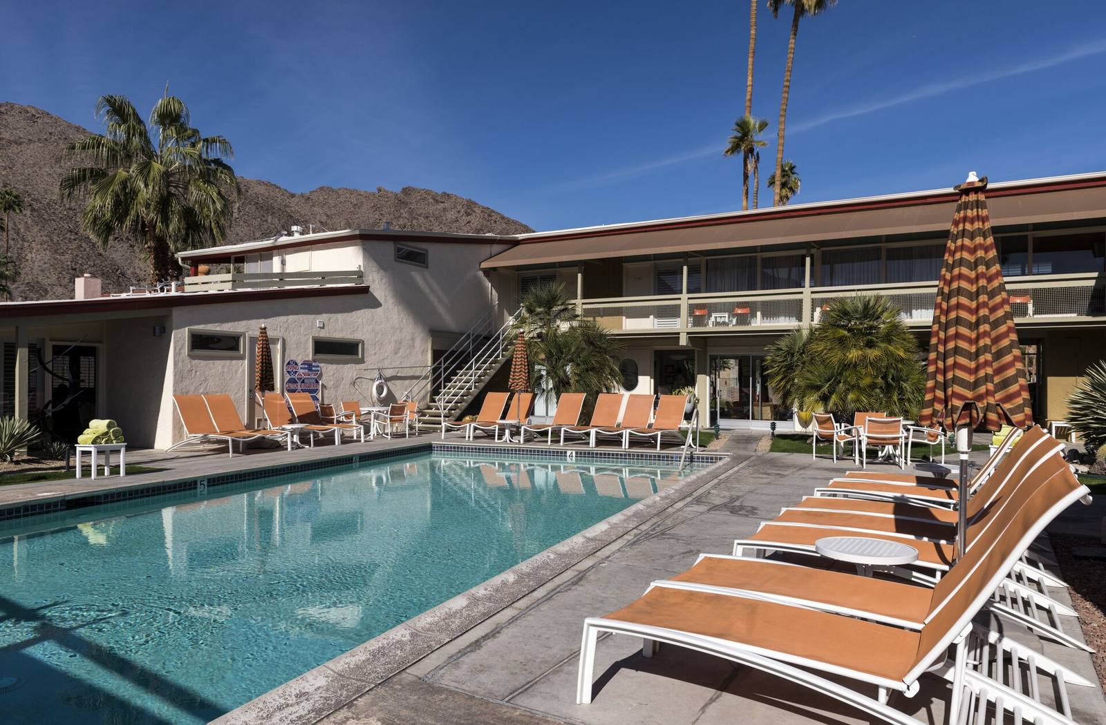 The swimming pool at the Del Marcos Hotel: the private version of the desert's summer adaptation.