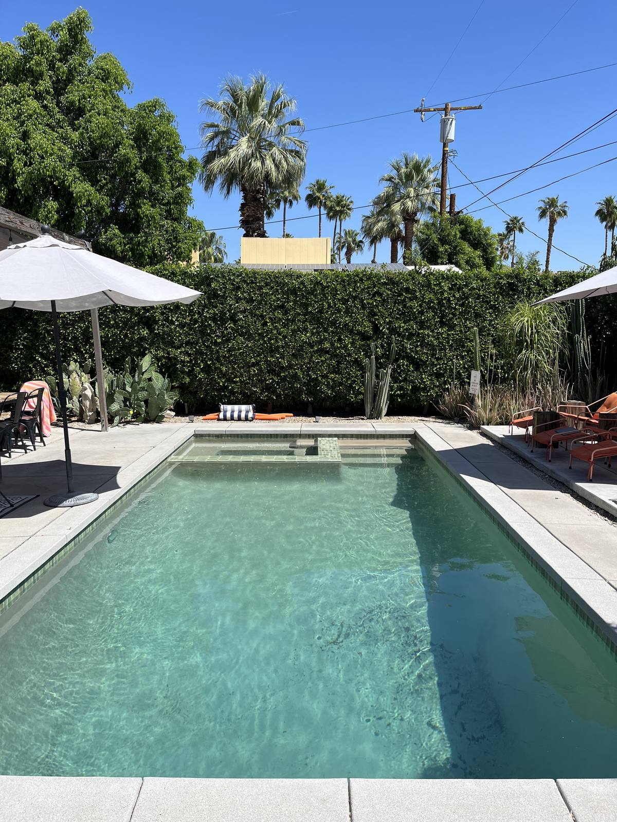 A Palm Springs streetscape. The city reads fast once you know what to look for.