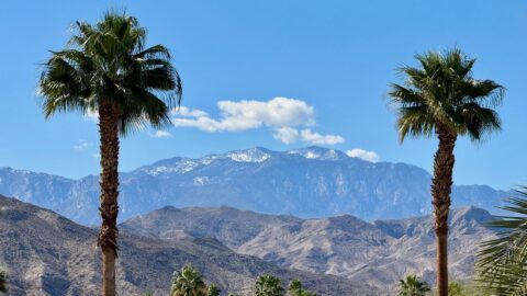 Palm trees against the desert sky. The foundation is still working to repay the city $10 million.